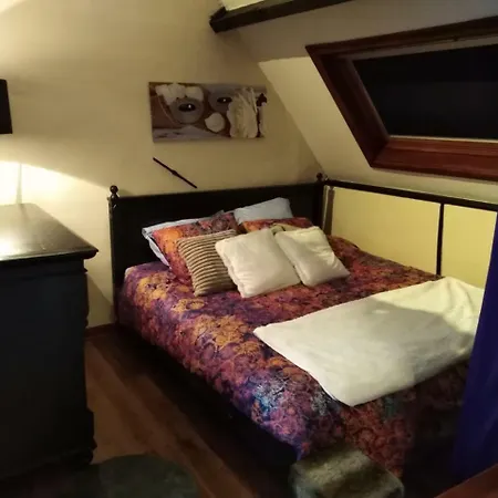 Loft In Red Light Apartment